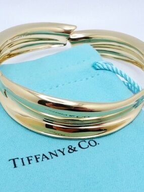 Tiffany & Co. Frank Gehry Sterling Silver Fish Bangle Bracelet
